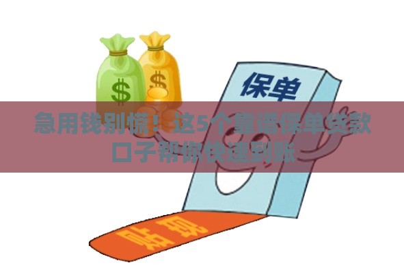 急用钱别慌！这5个靠谱保单贷款口子帮你快速到账
