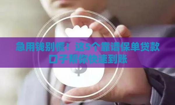 急用钱别慌！这5个靠谱保单贷款口子帮你快速到账