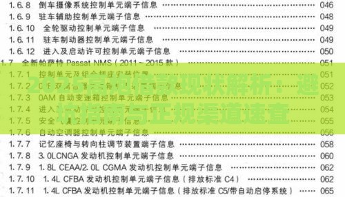 2025高炮借款现状解析：避坑指南与正规渠道速查