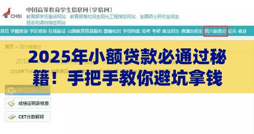 2025年小额贷款必通过秘籍！手把手教你避坑拿钱