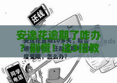 安逸花逾期了咋办？别慌！这3招教你补救征信