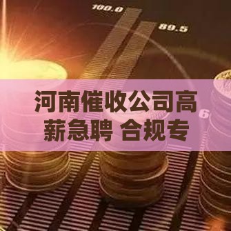 河南催收公司高薪急聘 合规专员岗成新趋势