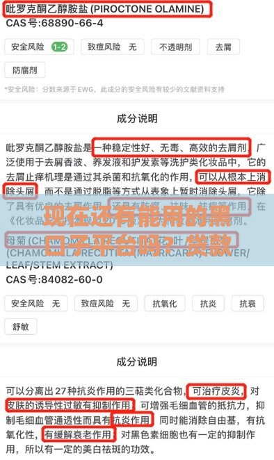 现在还有能用的黑口子平台吗？贷款前必看避坑指南