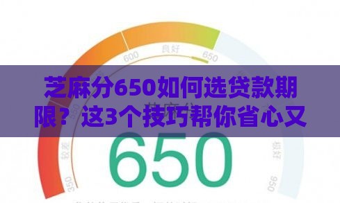 芝麻分650如何选贷款期限？这3个技巧帮你省心又省钱