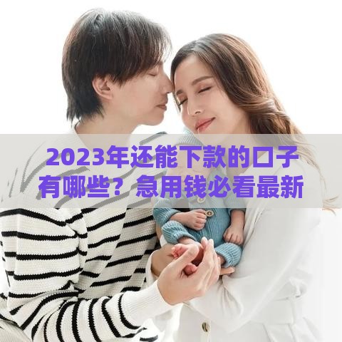 2023年还能下款的口子有哪些？急用钱必看最新整理！