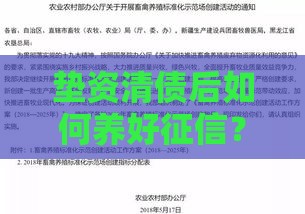垫资清债后如何养好征信？三步教你成功申请再贷款！