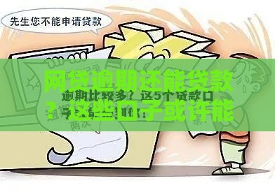 网贷逾期还能贷款？这些口子或许能帮到你！