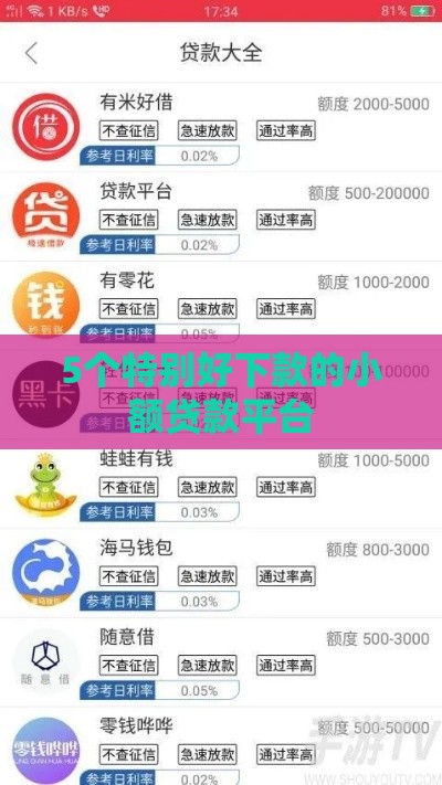 5个特别好下款的小额贷款平台