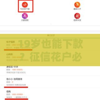 19岁也能下款？征信花户必看的低门槛贷款攻略