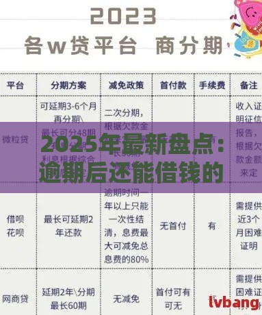 2025年最新盘点：逾期后还能借钱的8个正规平台