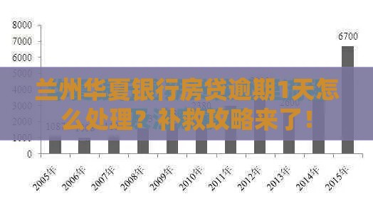 兰州华夏银行房贷逾期1天怎么处理？补救攻略来了！