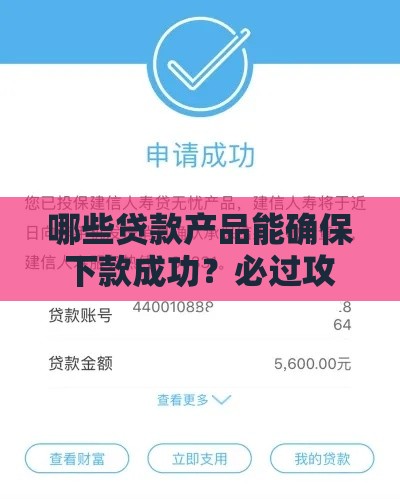 哪些贷款产品能确保下款成功？必过攻略大公开