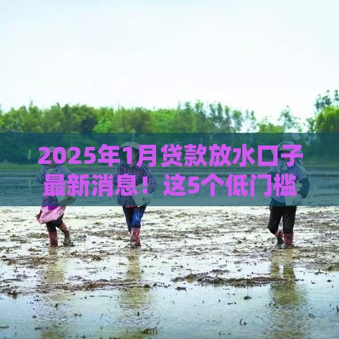 2025年1月贷款放水口子最新消息！这5个低门槛渠道别错过