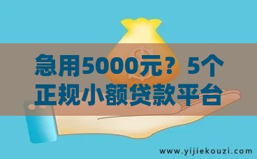 急用5000元？5个正规小额贷款平台亲测有效！