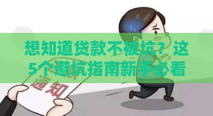 想知道贷款不被坑？这5个避坑指南新手必看！