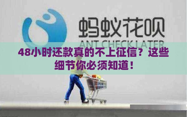 48小时还款真的不上征信？这些细节你必须知道！