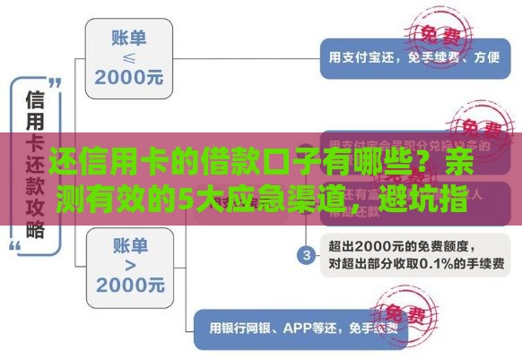 还信用卡的借款口子有哪些？亲测有效的5大应急渠道，避坑指南速看！