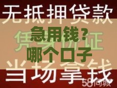 急用钱？哪个口子下款1080元靠谱？手把手教你避坑