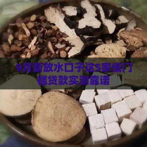 9月新放水口子这5家低门槛贷款实测靠谱