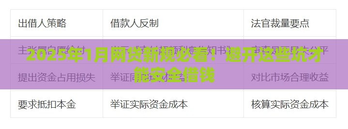 2025年1月网贷新规必看！避开这些坑才能安全借钱
