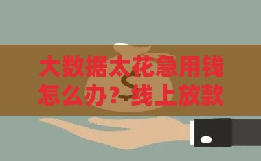 大数据太花急用钱怎么办？线上放款平台大盘点！