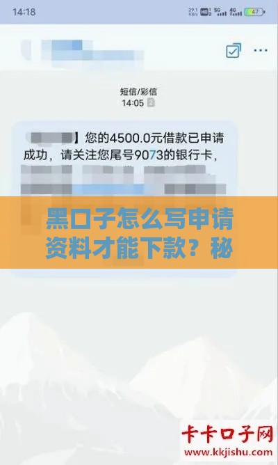 黑口子怎么写申请资料才能下款？秘诀大公开！
