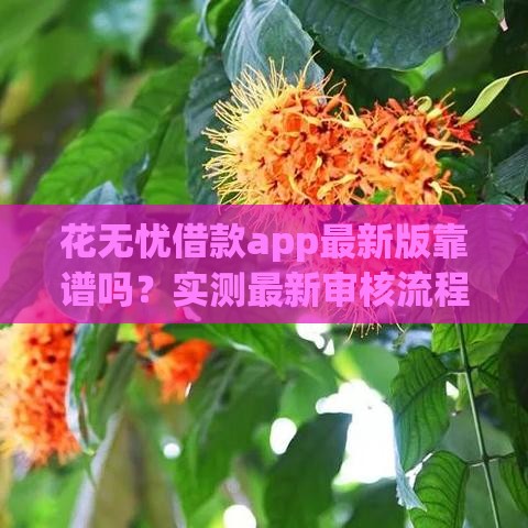 花无忧借款app最新版靠谱吗？实测最新审核流程+避坑指南