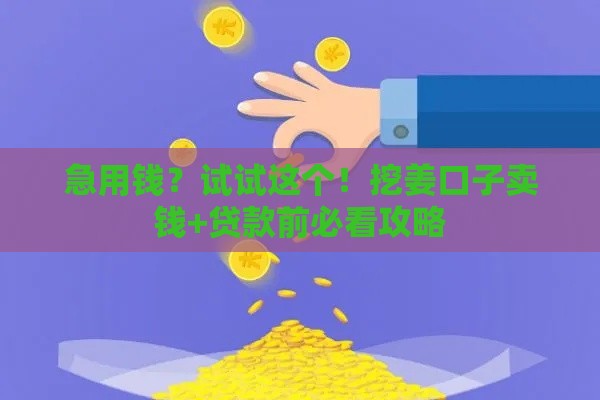 急用钱？试试这个！挖姜口子卖钱+贷款前必看攻略