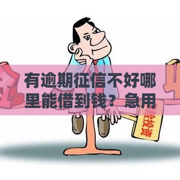 有逾期征信不好哪里能借到钱？急用钱必看安全渠道！