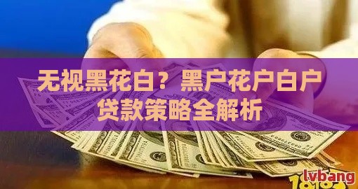无视黑花白？黑户花户白户贷款策略全解析