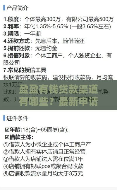 盈盈有钱贷款渠道有哪些？最新申请攻略与额度解析