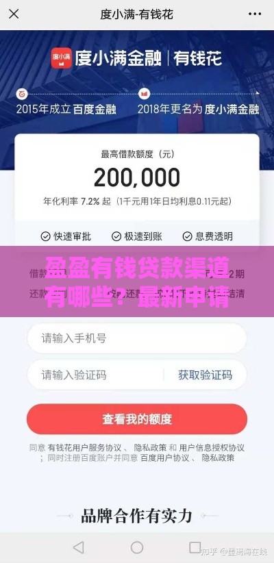 盈盈有钱贷款渠道有哪些？最新申请攻略与额度解析