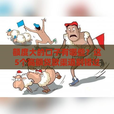 额度大的口子有哪些？这5个高额贷款渠道别错过！
