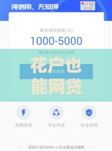 花户也能网贷下款？这些技巧帮你破解难题！