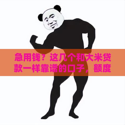 急用钱？这几个和大米贷款一样靠谱的口子，额度高、放款快！