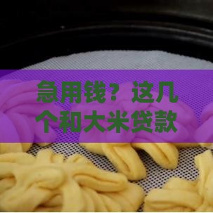 急用钱？这几个和大米贷款一样靠谱的口子，额度高、放款快！