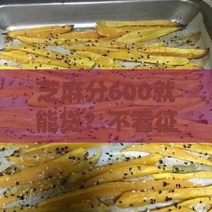 芝麻分600就能贷？不看征信的放款攻略来了！