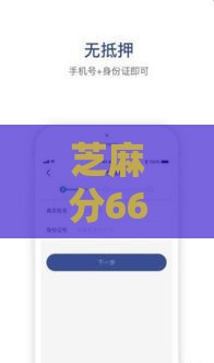 芝麻分660能贷哪些？这5个不看征信口子实测有用