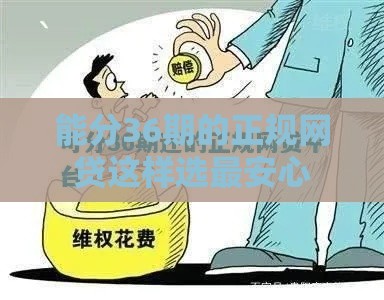 能分36期的正规网贷这样选最安心