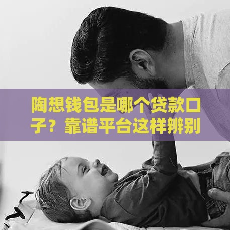 陶想钱包是哪个贷款口子？靠谱平台这样辨别才安心！