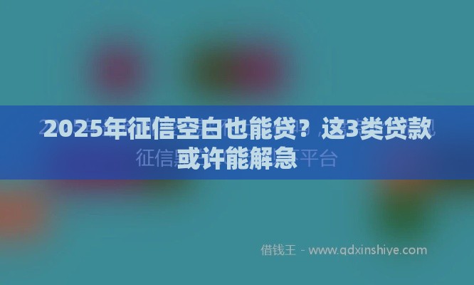 2025年征信空白也能贷？这3类贷款或许能解急