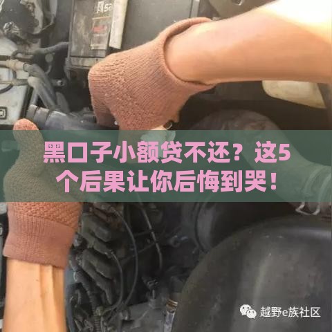 黑口子小额贷不还？这5个后果让你后悔到哭！