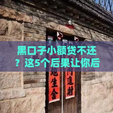 黑口子小额贷不还？这5个后果让你后悔到哭！