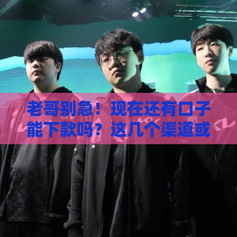 老哥别急！现在还有口子能下款吗？这几个渠道或许能救急！