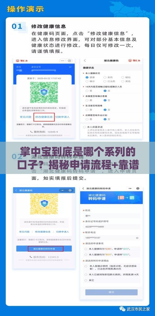 掌中宝到底是哪个系列的口子？揭秘申请流程+靠谱分析