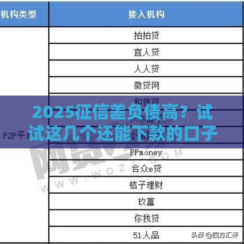 2025征信差负债高？试试这几个还能下款的口子！