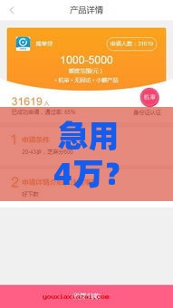 急用4万？这几个贷款口子靠谱又好批！手把手教你选对平台
