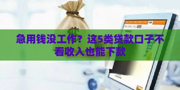 急用钱没工作？这5类贷款口子不看收入也能下款