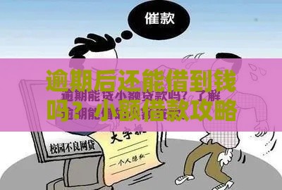 逾期后还能借到钱吗？小额借款攻略+避坑指南
