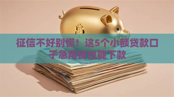 征信不好别慌！这5个小额贷款口子急用钱也能下款